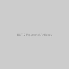 Image of BST-2 Polyclonal Antibody